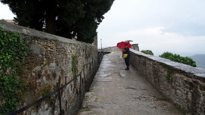 Parenzana Motovun 2014 2