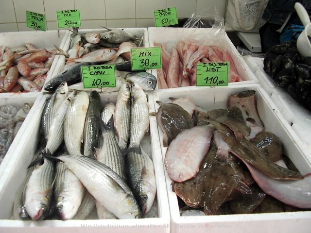 Fischhalle Porec