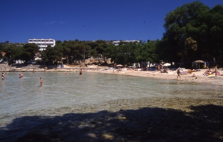 Otok MURTER > Bucht Slanica > Badebucht am Hotel Colentum