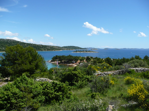 P1260510_Bildgre_ndern.jpg