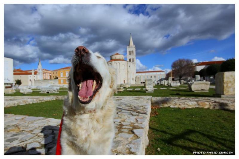 ZADAR