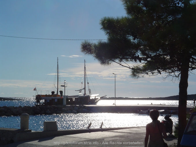 Otok PREMUDA > Premuda > Motorsegler