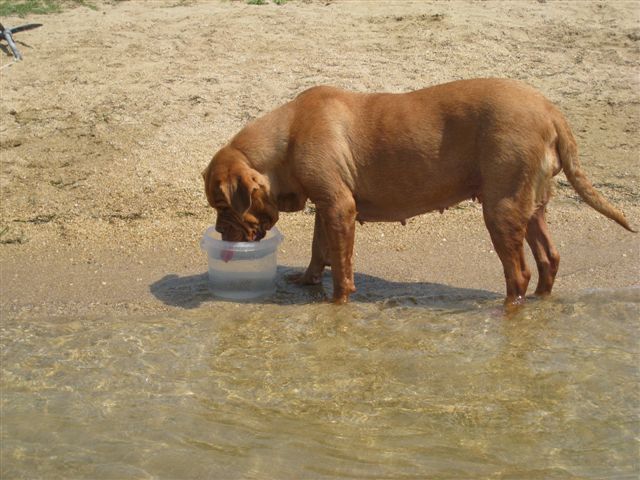 Nin_Urlaub_2012_316.jpg