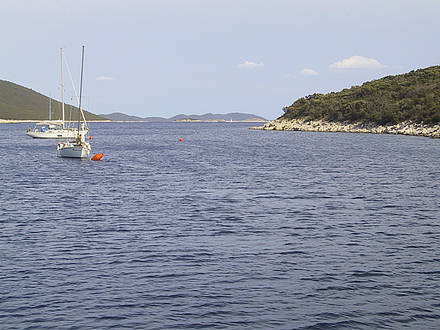 Otok SKARDA > Griparica