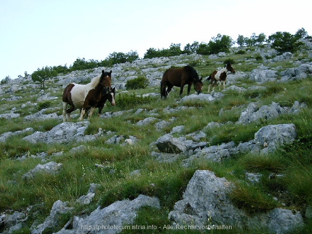 Biokovo Naturpark