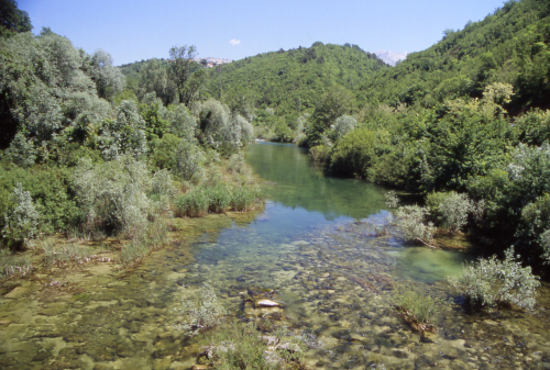 CETINA > bei Slime oder Podgrade