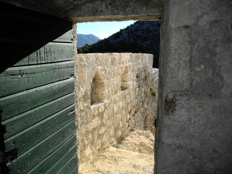 DSCN4726.jpg