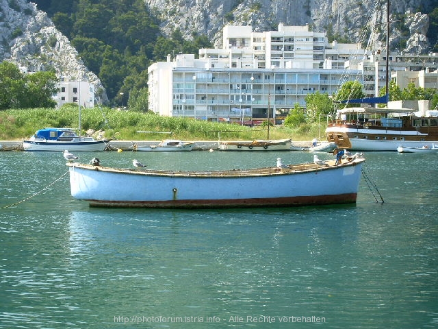 Omis`Cetina Boot mit Möwen