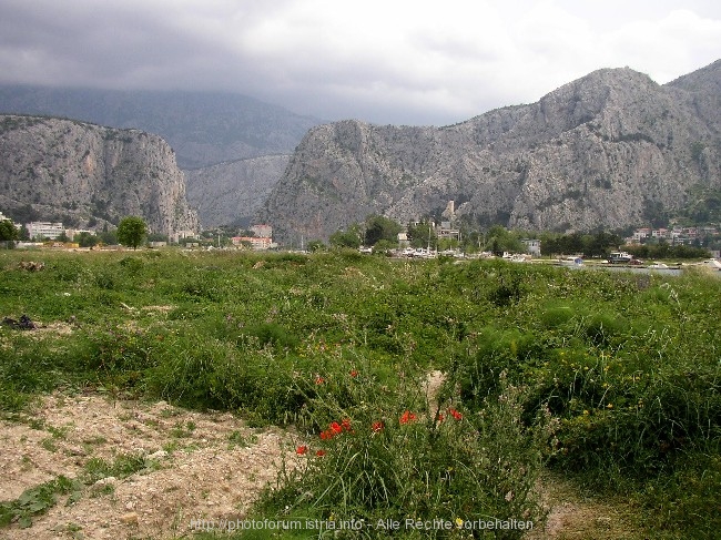 OMIS