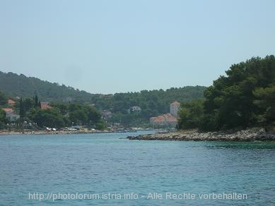 Otok SOLTA > Maslinica