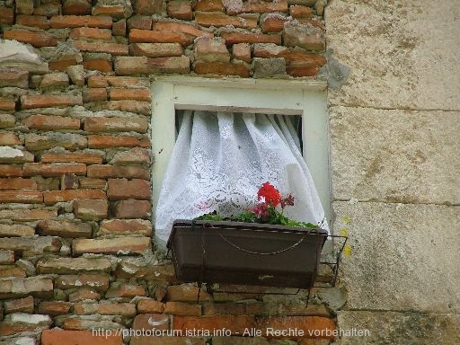 SPLIT > Diokletianpalast > Fenster mit Blumenschmuck