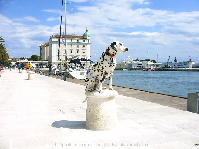 SPLIT > Altstadt > Hafenpromenade