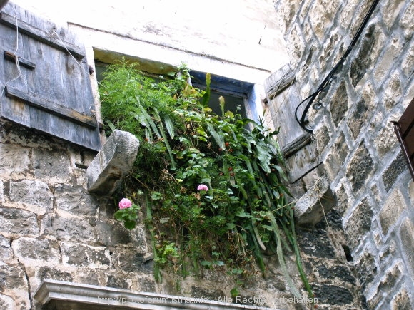 Blumenfenster in der Altstadt