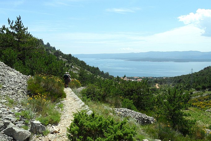 VIDOVA GORA > Wanderweg