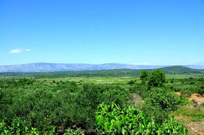 Velo Polje 02 9