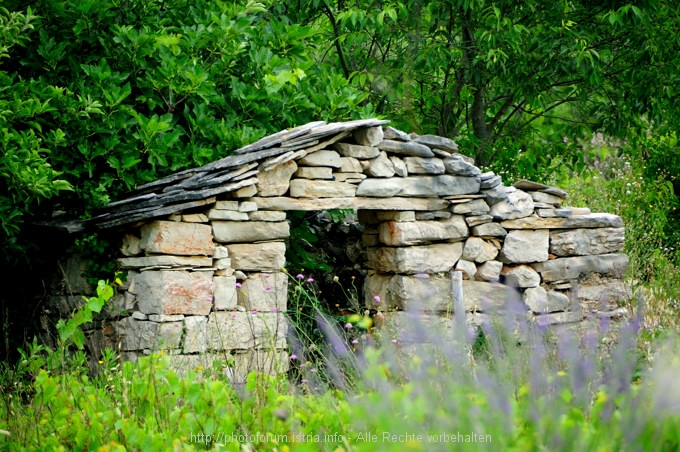 Velo Polje 03 9