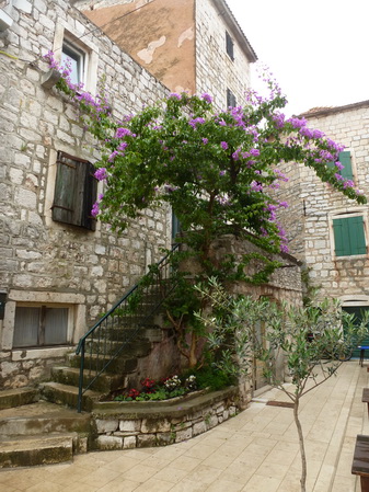 Stari Grad>Am Hafen