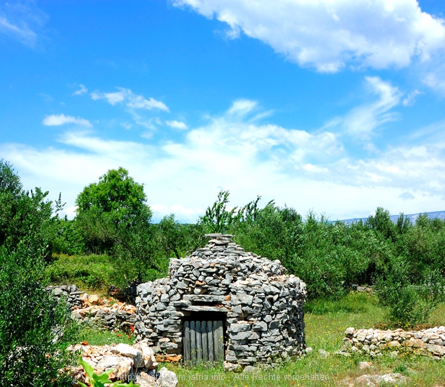 Velo Polje, Trim