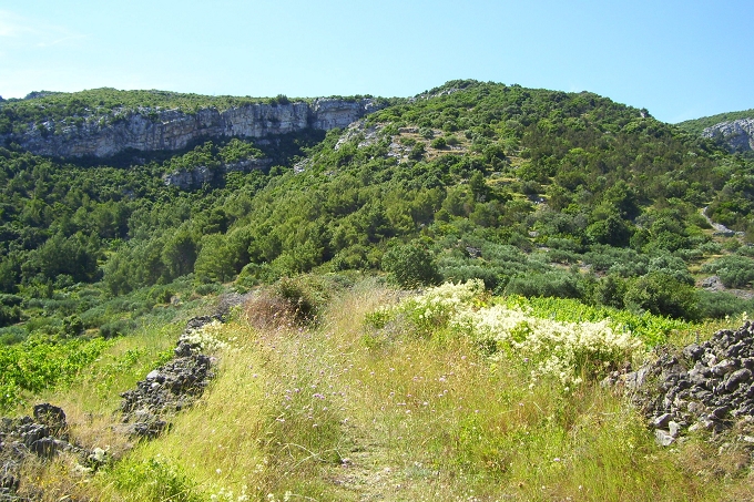 JELSA > Wanderweg Richtung Tor