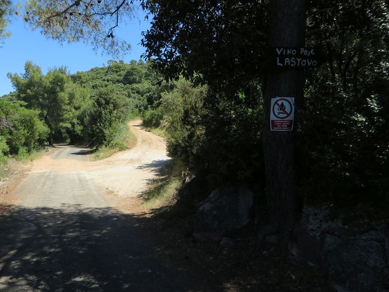 Tagesausflug nach Lastovo > Abzweigung Waldweg