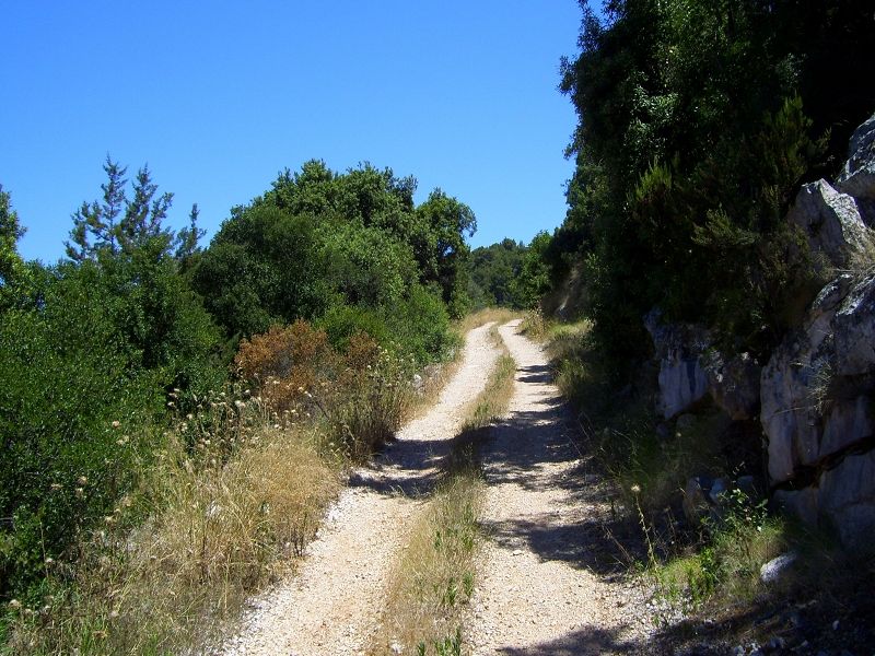 Tagesausflug nach Lastovo > Waldweg