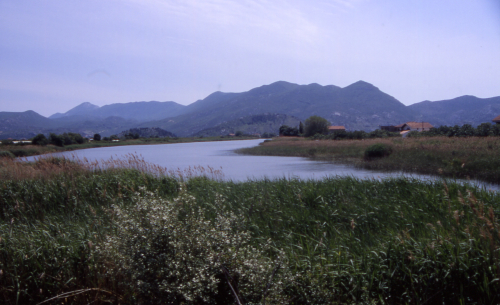 NERETVA > Zwischen Opuzen und Metkovic