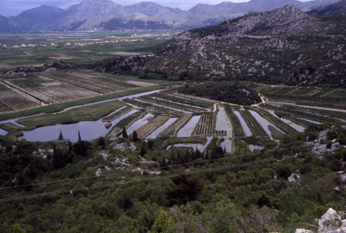 NERETVA DELTA > Piznovac