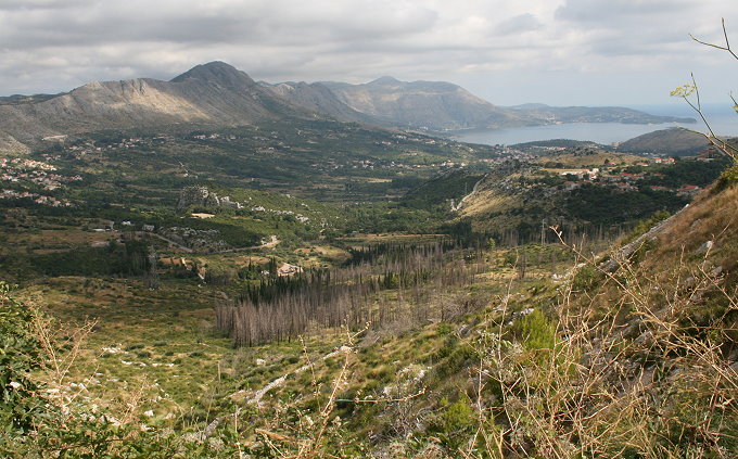 ZUPA DUBROVACKA > Bucht vor Cavtat > Blick von Gornji Brgat