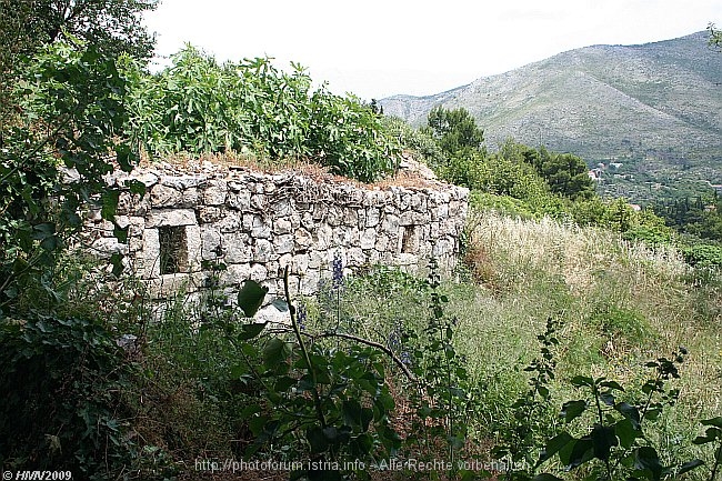 CAVTAT > Halbinsel Rat > Stadtmauer