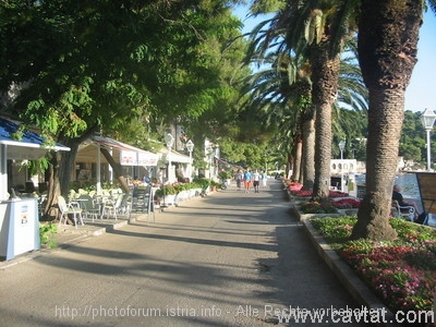 CAVTAT > Uferpromenade > Umgebung und mehr