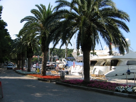 CAVTAT > Hafenpromenade