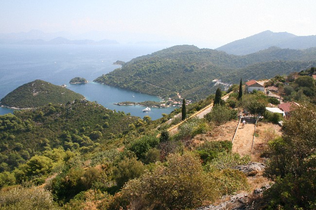 Insel MLJET > Prozura