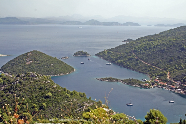 Insel MLJET > westlicher Teil 9