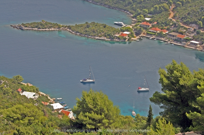 Insel MLJET > westlicher Teil 10