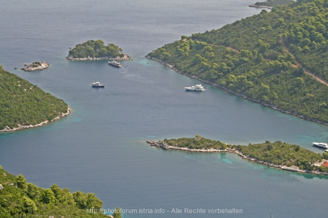 Insel MLJET > westlicher Teil