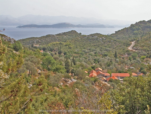 Insel MLJET > westlicher Teil 7