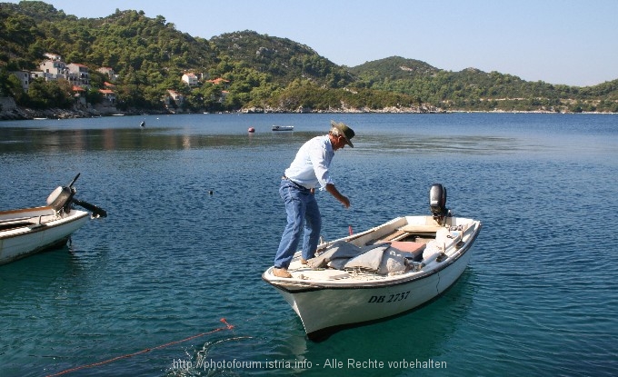 Inselträume: Mljet 4