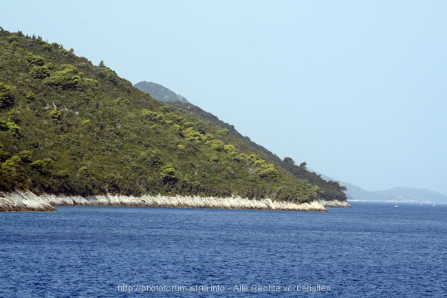 Insel MLJET > westlicher Teil 4