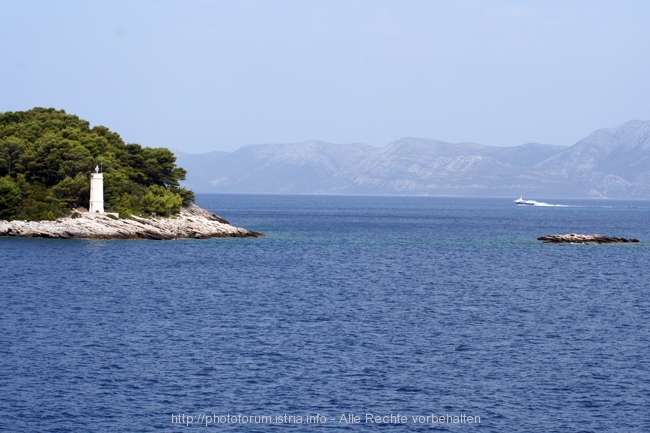 Insel MLJET > westlicher Teil 5