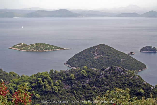 Insel MLJET > westlicher Teil 7