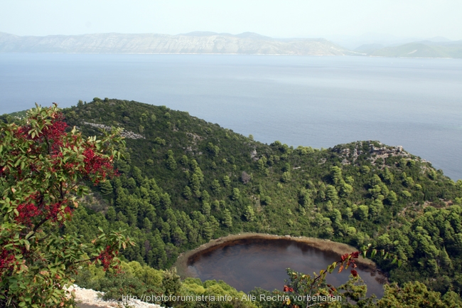 Insel MLJET > westlicher Teil 8