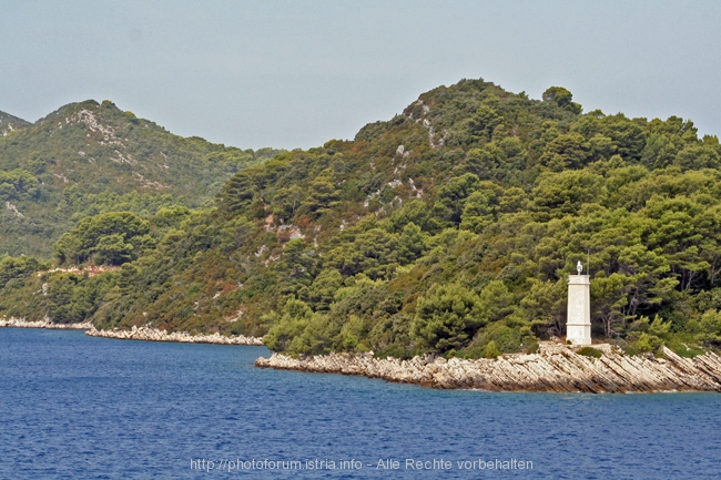 Insel Mljet > westlicher Teil 7