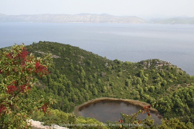 OTOK MLJET > See bei Prozurska Luka