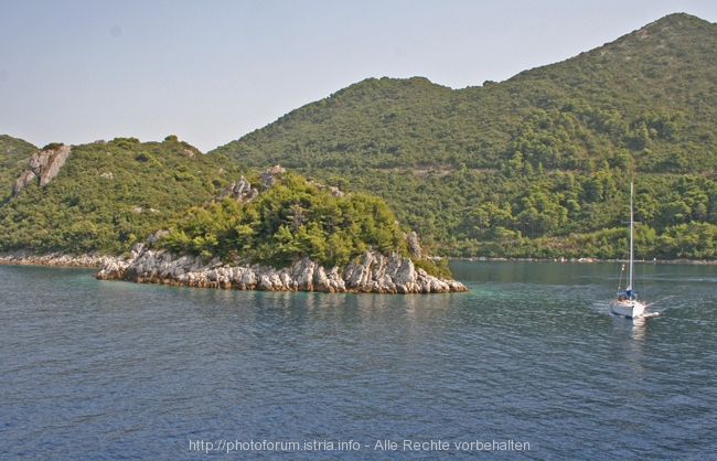 Otok MLJET > Sobra > Einfahrt zum Fährhafen