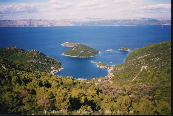 Otok MLJET