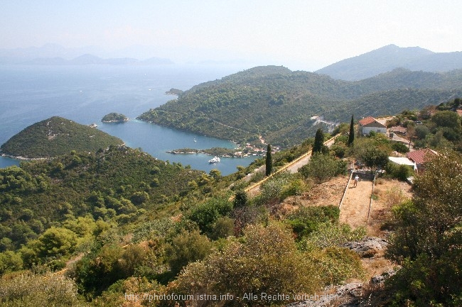 Otok Mljet > Prozurska Luka