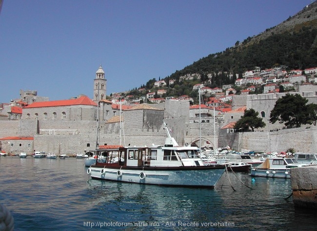 Vor der Stadtmauer von Dubrovnik 3