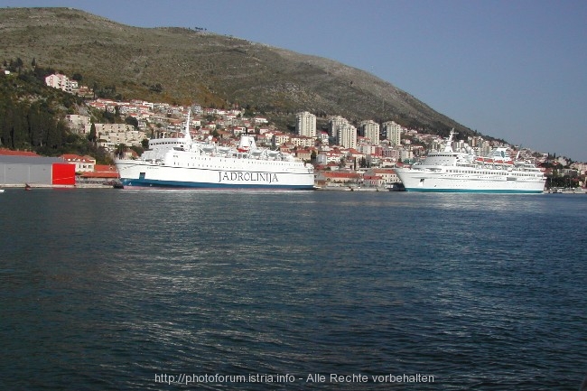 Vor der Satdtmauer von Dubrovnik 5