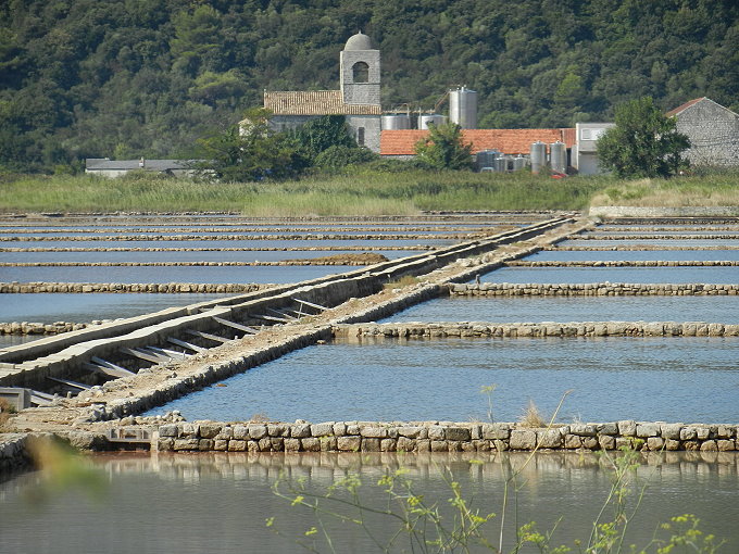 VELIKI STON > 2011