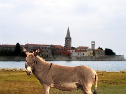 POREC > ESEL BY NIGHT